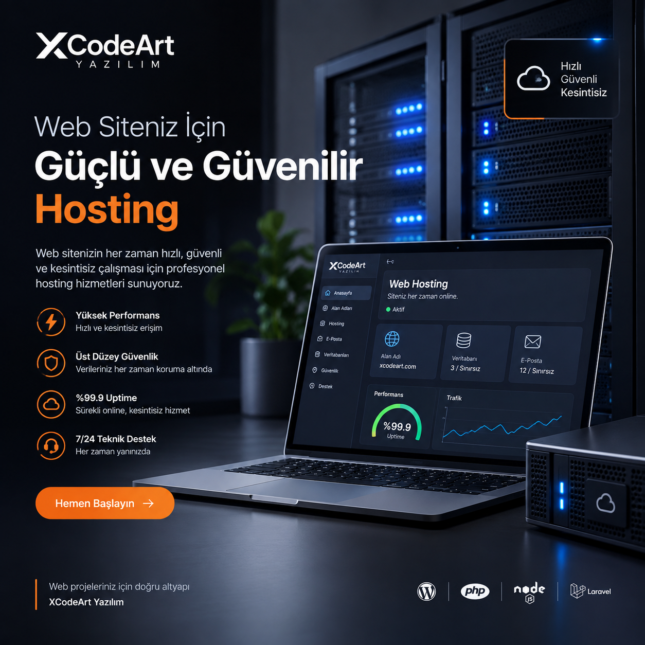 Hosting Hizmeti